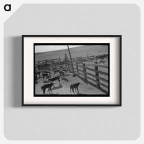 アートポスター-Cattle Roundup near Marfa, Texas
 - ラッセル リー Poster.