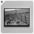 アートパネル-Cattle Roundup near Marfa, Texas
 - ラッセル リー Canvas.
