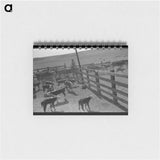 アートメモ帳-Cattle Roundup near Marfa, Texas
 - ラッセル リー Memo.