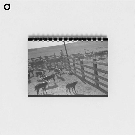 アートメモ帳-Cattle Roundup near Marfa, Texas
 - ラッセル リー Memo.
