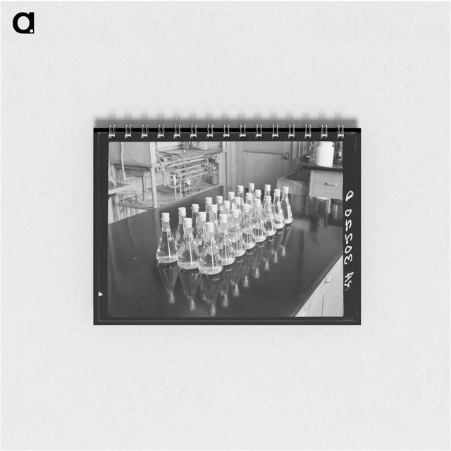 アートメモ帳-Forest Products Laboratory, Madison, Wisconsin
 - ラッセル リー Memo.