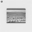アートメモ帳-View of Agua Fria Migratory Labor Camp from the Water Tower
 - ラッセル リー Memo.