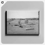 アートパネル-Arkansas River Bottom at Webbers Falls
 - ラッセル リー Canvas.