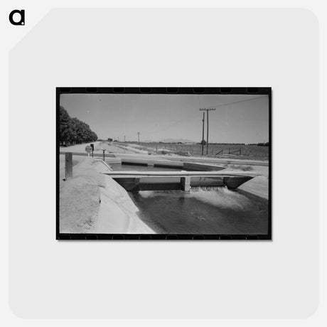 アートポストカード-Irrigation Ditch, Maricopa County, Arizona
 - ラッセル リー Postcard.