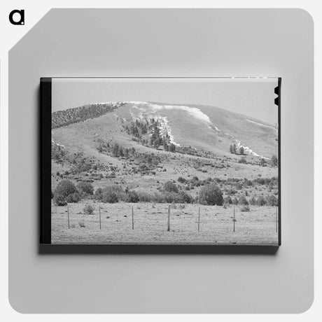 アートパネル-Spring Snow, Apache County
 - ラッセル リー Canvas.
