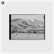 アートポストカード-Spring Snow, Apache County
 - ラッセル リー Postcard.