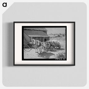 アートポスター-FSA Cooperative Orchard Sprayer
 - ラッセル リー Poster.