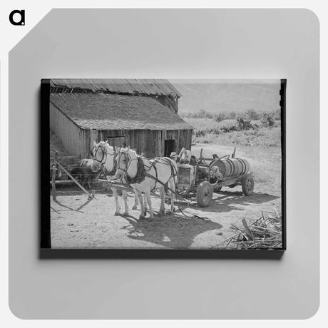 アートパネル-FSA Cooperative Orchard Sprayer
 - ラッセル リー Canvas.