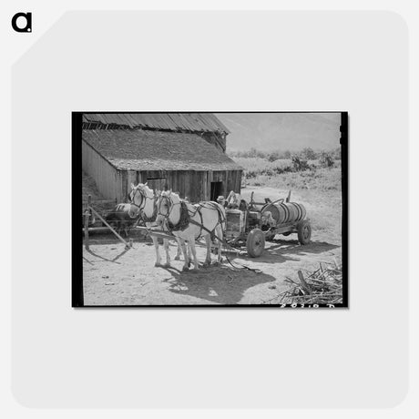 アートポストカード-FSA Cooperative Orchard Sprayer
 - ラッセル リー Postcard.