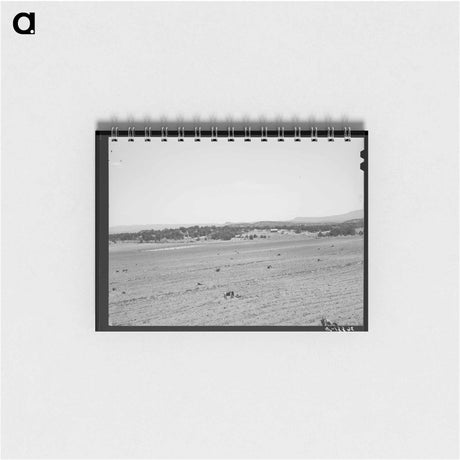 アートメモ帳-Farming Land, Pie Town, New Mexico
 - ラッセル リー Memo.