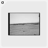 アートポストカード-Farming Land, Pie Town, New Mexico
 - ラッセル リー Postcard.