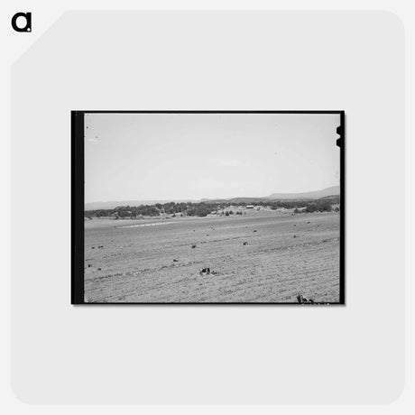 アートポストカード-Farming Land, Pie Town, New Mexico
 - ラッセル リー Postcard.