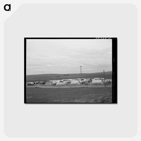 アートポストカード-Pea Pickers' Camp, Canyon County, Idaho
 - ラッセル リー Postcard.