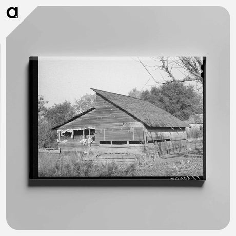 アートパネル-Packing Shed, Placer County, California
 - ラッセル リー Canvas.