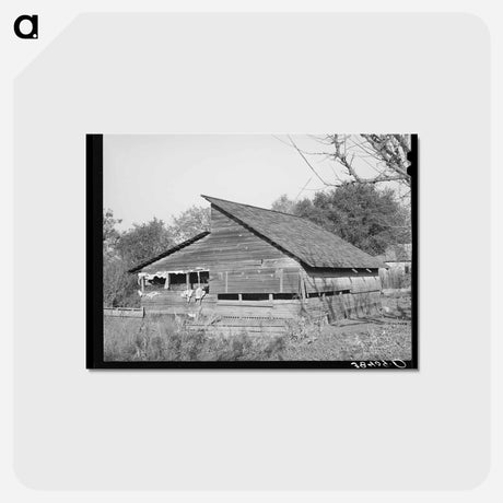 アートポストカード-Packing Shed, Placer County, California
 - ラッセル リー Postcard.