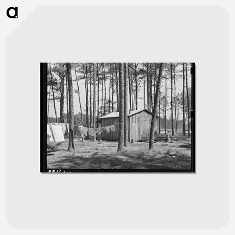 アートポストカード-Migrant Housing, Ponchatoula, Louisiana
 - ラッセル リー Postcard.