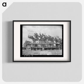 アートポスター-Abandoned Trepagnier Plantation House, Louisiana
 - ラッセル リー Poster.