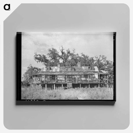 アートパネル-Abandoned Trepagnier Plantation House, Louisiana
 - ラッセル リー Canvas.