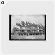 アートポストカード-Abandoned Trepagnier Plantation House, Louisiana
 - ラッセル リー Postcard.