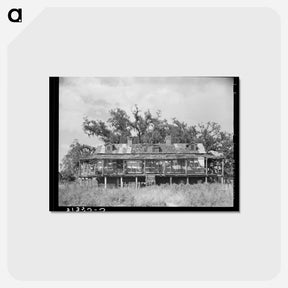 アートポストカード-Abandoned Trepagnier Plantation House, Louisiana
 - ラッセル リー Postcard.