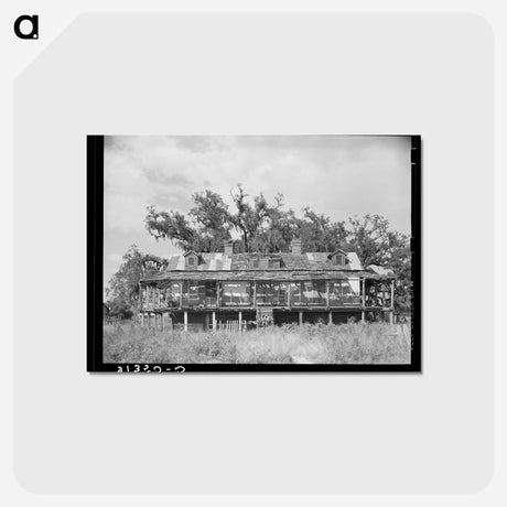 アートポストカード-Abandoned Trepagnier Plantation House, Louisiana
 - ラッセル リー Postcard.
