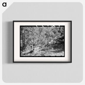 アートポスター-Sawing Felled Tree, Pie Town, New Mexico
 - ラッセル リー Poster.