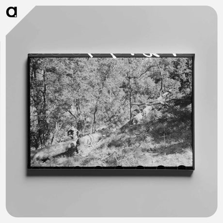 アートパネル-Sawing Felled Tree, Pie Town, New Mexico
 - ラッセル リー Canvas.