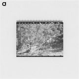 アートメモ帳-Sawing Felled Tree, Pie Town, New Mexico
 - ラッセル リー Memo.