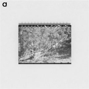 アートメモ帳-Sawing Felled Tree, Pie Town, New Mexico
 - ラッセル リー Memo.