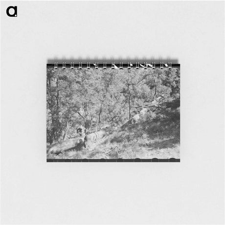 アートメモ帳-Sawing Felled Tree, Pie Town, New Mexico
 - ラッセル リー Memo.