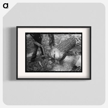 Log Splitting, Pie Town, New Mexico
 - ラッセル リー Poster.