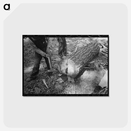アートポストカード-Log Splitting, Pie Town, New Mexico
 - ラッセル リー Postcard.
