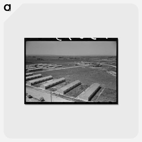 アートポストカード-Row Shelters at FSA Labor Camp, Caldwell, Idaho
 - ラッセル リー Postcard.