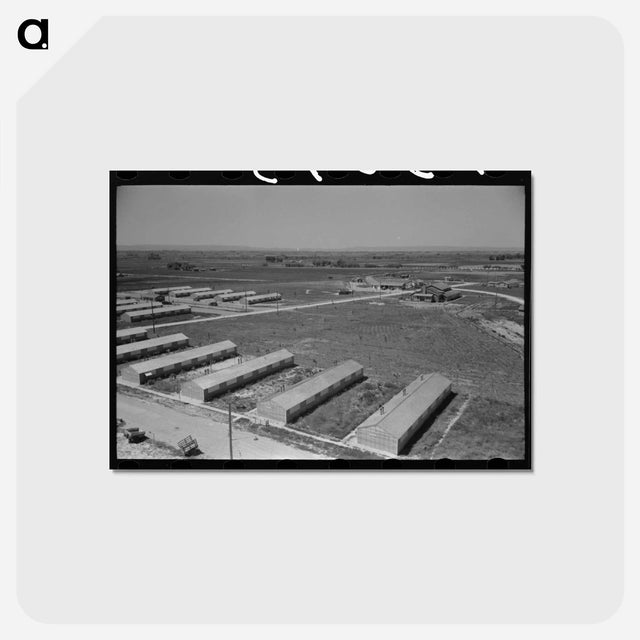 アートポストカード-Row Shelters at FSA Labor Camp, Caldwell, Idaho
 - ラッセル リー Postcard.