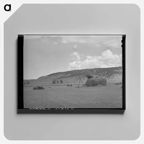 アートパネル-Haymaking with Tractor and Stacker, Ouray County, Colorado
 - ラッセル リー Canvas.