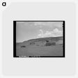 アートポストカード-Haymaking with Tractor and Stacker, Ouray County, Colorado
 - ラッセル リー Postcard.