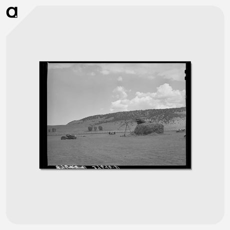 アートポストカード-Haymaking with Tractor and Stacker, Ouray County, Colorado
 - ラッセル リー Postcard.