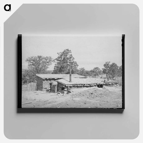 アートパネル-Dugout of Jack Whinery, Pie Town, New Mexico
 - ラッセル リー Canvas.