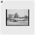 アートポストカード-Dugout of Jack Whinery, Pie Town, New Mexico
 - ラッセル リー Postcard.