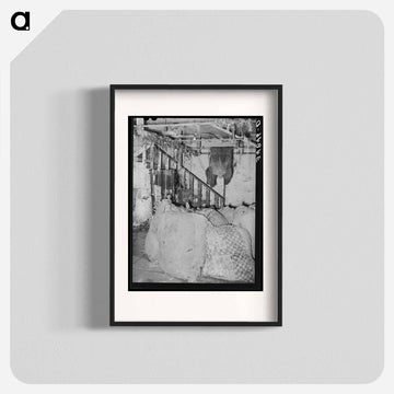 Cooperative Poultry House Interior
 - ラッセル リー Poster.