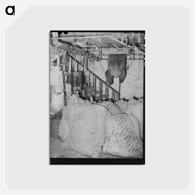 アートポストカード-Cooperative Poultry House Interior
 - ラッセル リー Postcard.