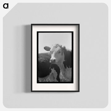 Yearling Steer, Cruzen Ranch, Valley County, Idaho
 - ラッセル リー Poster.