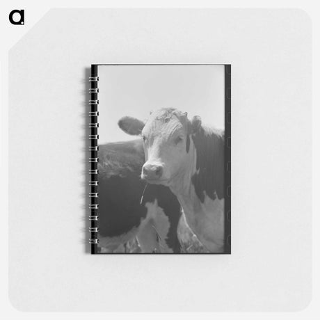 アートメモ帳-Yearling Steer, Cruzen Ranch, Valley County, Idaho
 - ラッセル リー Memo.