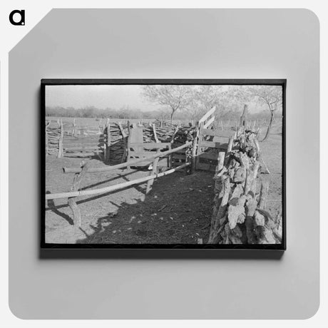 アートパネル-Corral of Mexican Farm Owner, Hidalgo County, Texas
 - ラッセル リー Canvas.
