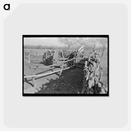 アートポストカード-Corral of Mexican Farm Owner, Hidalgo County, Texas
 - ラッセル リー Postcard.