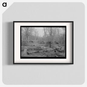 アートポスター-Land in Process of Clearing, Chicot Farms, Arkansas
 - ラッセル リー Poster.