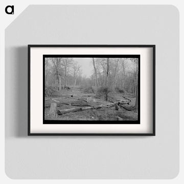 Land in Process of Clearing, Chicot Farms, Arkansas
 - ラッセル リー Poster.