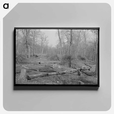 アートパネル-Land in Process of Clearing, Chicot Farms, Arkansas
 - ラッセル リー Canvas.