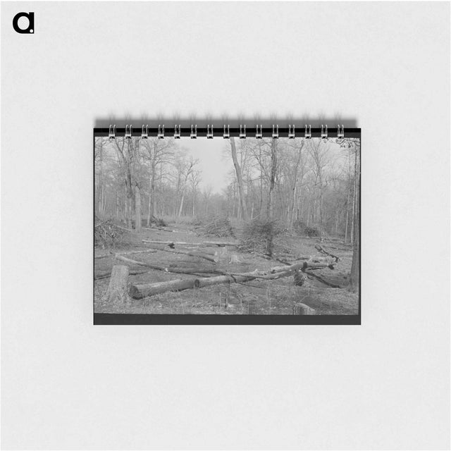 アートメモ帳-Land in Process of Clearing, Chicot Farms, Arkansas
 - ラッセル リー Memo.