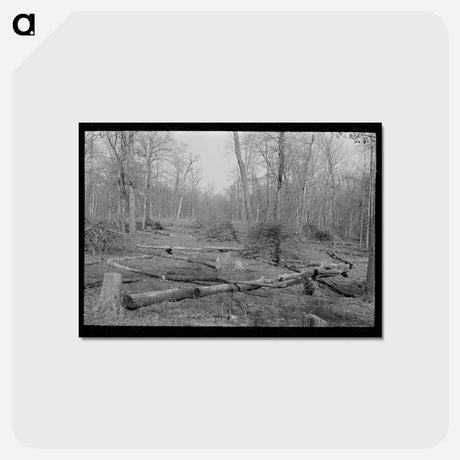 アートポストカード-Land in Process of Clearing, Chicot Farms, Arkansas
 - ラッセル リー Postcard.